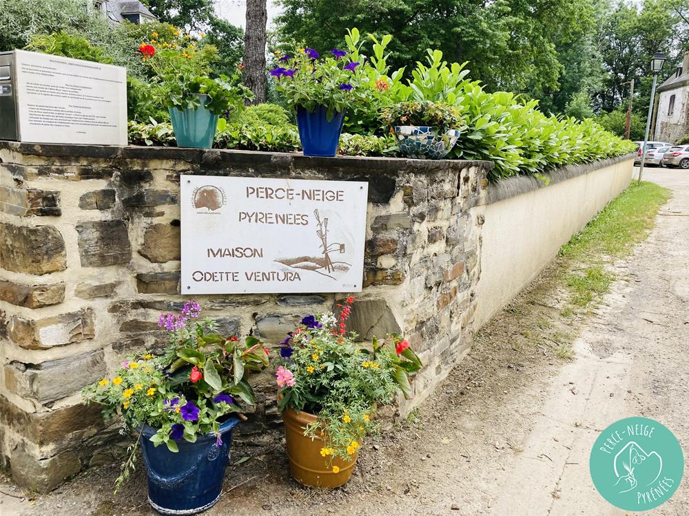 Maison Odette